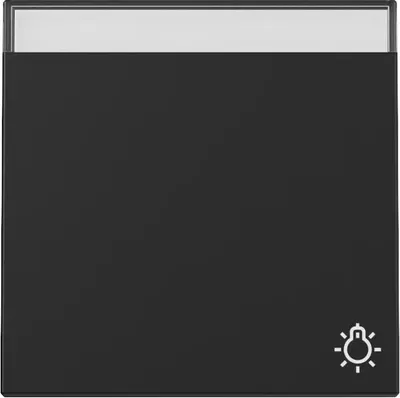 Produktbild von GIRA 3673005 Wippe Symb. Klingel+ BSF System 55 Schwarz m
