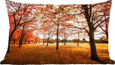 Produktbild von MuchoWow® Zierkissen Sofakissen Wohnzimmer Dekokissen 60x40 cm Herbst - Herbstblätter - Natur - Kopfkissen - Polster mit Foto