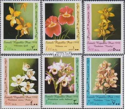 Produktbild von Briefmarken Somali Republic 1998 Mi 1998BA-1998 die Legalität dieser Ausg. ist ungeklärt postfrisch Blumen