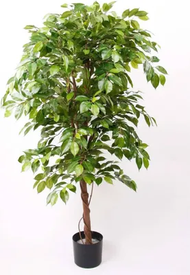 Produktbild von Emerald Künstlicher Ficus-Weinbaum Deluxe im Topf 140 cm