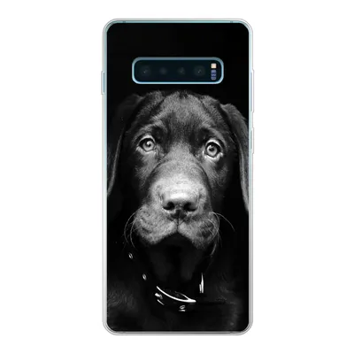 Produktbild von MuchoWow® Handyhülle Schutzhülle Hülle für Samsung Galaxy S10 Lite Hund - Leicht - Schwarz Silikon Softcase Handy Hülle - Schutz