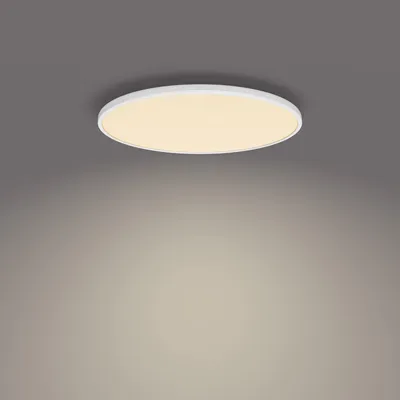 Obrázok produktu pre Philips Functional 8719514432062, LED, Žiarovky bez možnosti výmeny, 2700 K, 3900 lm, IP20, Biela