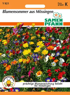Artikelbild 1 von 'Blumensommer aus Mössingen' aus der Kategorie Mössinger Sommer