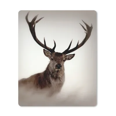 Produktbild von MuchoWow® Mauspad Mousepad Porträt - Hirsch - Geweih 30x40 cm - Mousepads - Maus Mat - Pad - Mausunterlage - Mausmatten