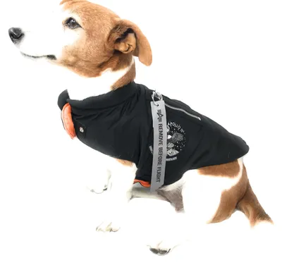 Produktbild von Alpha Industries Dog MA-1 Nylon Flight Jacket Fliegerjacke für Hunde Black, XL