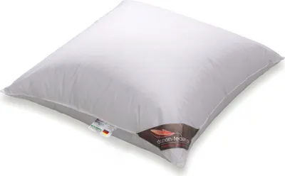 Produktbild von Daunenkissen 80x80 mit 800g 100% Gänsedaunen gefüllt