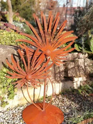 Produktbild von Edelrost Chrysantheme auf Platte
