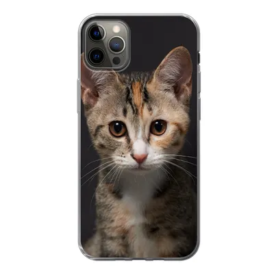Produktbild von MuchoWow® Handyhülle Schutzhülle Hülle für iPhone 13 Pro Max Katze - Schwarz - Porträt Silikon Softcase Handy Hülle - Mobiltelefon