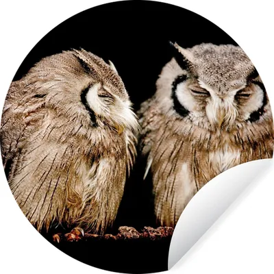 Produktbild von MuchoWow® Runde Wandtattoo - Wandsticker Tapete Aufkleber Eule - Vogel - Schwarz Ø 80 cm Selbstklebend und Repositionierbar - Wandaufkleber - Kreis - Mauerkreis - Wand Bilder - Wandsticker - Wohnzimmer Dekoration - Dekoration für die Wände - Aluminium - Babyzimmer