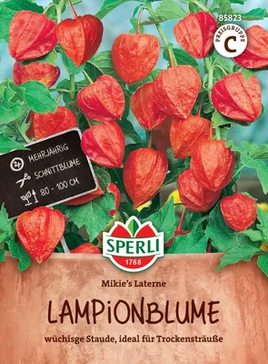 Immagine prodotto di Fiori di lanterna Sperli Lanterna di Mikie - Semi di fiori