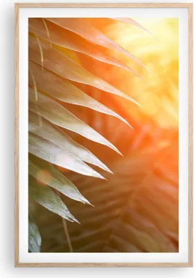 Produktbild von Gerahmtes Poster - Rahmen in heller Eiche - Exotisch Blätter Dämmerung - 61x91,5 cm - Wand Bild - Wanddeko - Wandbilder - Kunstposter - Wandposter - Bilderrahmen - Bilder - Kunstdruck P2NPA61x91-4807