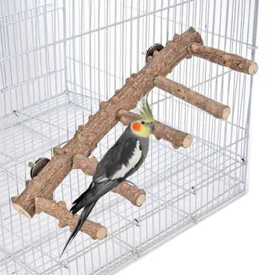 Immagine prodotto di Supporto per uccelli in legno naturale, con posatoi da 30 cm, adatto per piccoli e medi uccelli