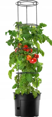 Produktbild von KADAX Topf "Farsala", Tomatenschirm mit Pflanzkübel und Rankhilfe, 156 cm