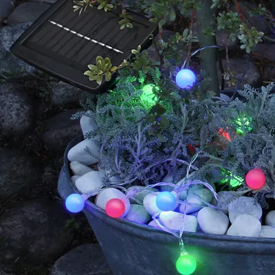 Solar-powered string lights with colorful spherical bulbs are draped around plants in a pot, with a solar panel visible in the upper left.