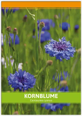 Produktbild von Kornblume für Werbezwecke | Kornblumensamen von FLORTUS