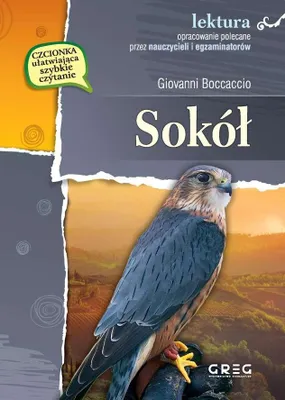 Produktbild von WSiP Sokół Giovanni Boccaccio, Edukacyjny, Polski, 24 stron(y)
