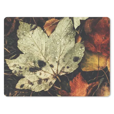 Produktbild von MuchoWow® Mauspad Mousepad Herbstblätter - Herbst - Jahreszeiten - Natur 40x30 cm - Mousepads - Maus Mat - Pad - Mausunterlage - Anti Rutsch