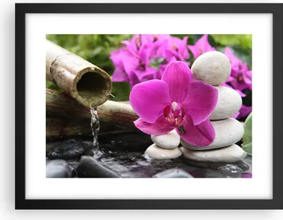 Produktbild von Gerahmtes Poster - Schwarzer Rahmen - Orchidee Bambus Dekoration Spa - 40x30 cm - Wand Bild - Wanddeko - Wandbilder - Wandposter - Bilderrahmen - Bilder - Kunstdruck - Wandbild - P2BAA40x30-2666