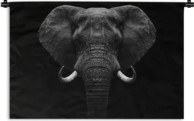 Produktbild von MuchoWow® Wandteppich Wandbehang Tiere - Elefant - Porträt - Schwarz - Weiß 90x60 cm Tapisserie Dekoration Wandtuch - Wandskulpturen - Bildteppich