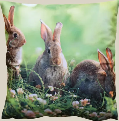 Produktbild von Kissenhülle Osterhasen im Gras Farbe grün