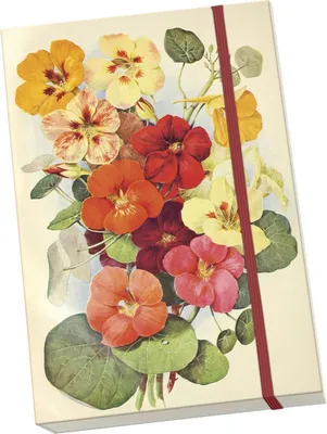 Image de Notýsek Fleur d'été Cresson