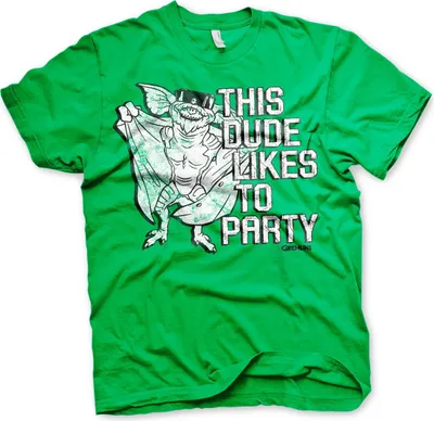 Produktbild von This Dude Likes To Party T-Shirt - Large - Green