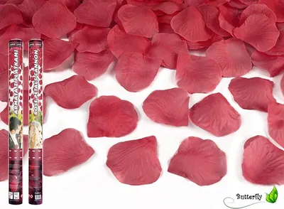 Produktbild von 1 Stück Konfettikanone 60cm, Farbe/Motive:Rosenblätter dkl. rot / bordeaux