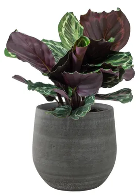 Produktbild von Steege Pflanzentopf/Blumentopf - Keramik - grau - 26 x 26 cm
