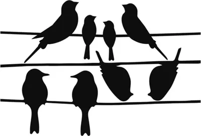 Image de Esschert Design FB576, papier, vinyle, noir, Bird pattern, fenêtre, garçon/fille, 330 mm