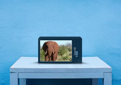 Produktbild von hansepuzzle 85327 - Elefant Puzzle, 130 Teile, Natur, 28,7 x 20,0cm mit hochwertiger Aufbewahrung, Kartonbox und wiederverschließbarem Beutel