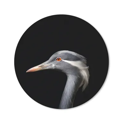 Produktbild von MuchoWow® Mauspad Mousepad Vogel - Tiere - Porträt 30x30 cm - Mousepads - Maus Mat - Pad - Mausunterlage