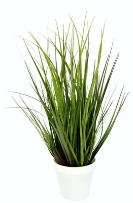 Produktbild von Künstlicher Grasbusch im Topf Kunstpflanze Dekogras Kunstgras Pflanze Ziergras G