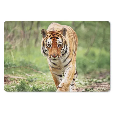 Produktbild von MuchoWow® Mauspad Mousepad Tiger - Wald - Laufen 27x18 cm - Mousepads - Maus Mat - Pad - Mausunterlage - Büroartikel - Desk Matten