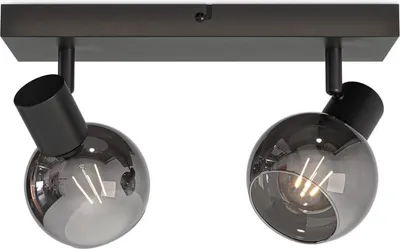 Image de HOFTRONIC - Plafonnier LED 2 spots Verre fumé Douilles E14 Noir IP20 Inclinable