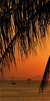 Produktbild von Wallario Design Wanduhr Sonnenuntergang unter Palmenblättern aus Echtglas, Größe 30 x 60 cm