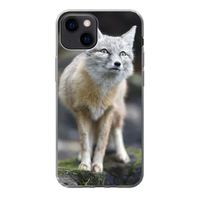 Produktbild von MuchoWow® Handyhülle Schutzhülle Hülle für iPhone 13 mini Fuchs - Makro - Baum Silikon Softcase Handy Hülle - Softcase