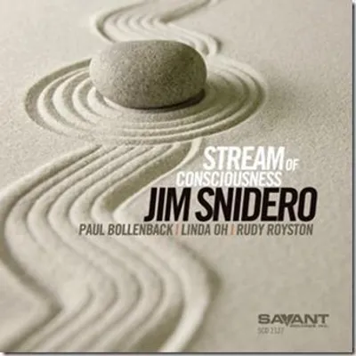 Produktbild von Snidero,Jim-Stream Of Consciousness
