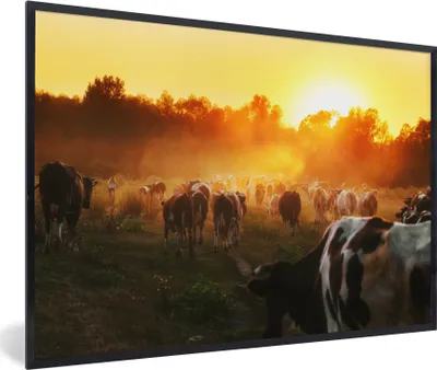 Produktbild von MuchoWow® Gerahmtes Poster Kühe - Sonnenuntergang - Wiese - Tiere 30x20 cm - Poster mit Schwarzem Bilderrahmen Wandposter Rahmen Foto Bilder - Kunstdruck - Bild-Poster