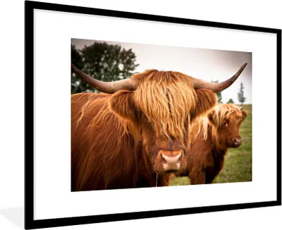 Produktbild von MuchoWow® MuchoWow® Gerahmtes Poster Schottische Hochlandrind - Braun - Gras 90x60 cm - Poster mit zchwarzem Bilderrahmen - Wanddekoration - Fotos