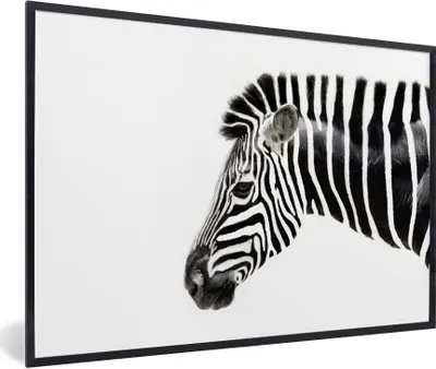 Produktbild von MuchoWow® Gerahmtes Poster Zebra - Tiere - Weiß 90x60 cm - Poster mit Schwarzem Bilderrahmen Wandposter Rahmen Foto Bilder - Fotorahmen - Foto-Plakat