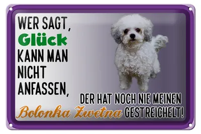 Produktbild von Blechschild Spruch 30x20cm Glück anfassen Bolonka Zwetna