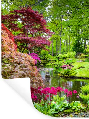 Produktbild von MuchoWow® Wandtattoo Wandsticker Wandaufkleber Bäume - Blumen - Japanisch - Natur - Wasser 60x80 cm Selbstklebend und Repositionierbar - Repositionierbar - Wasser abweisend