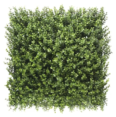 Image de Buxus - Décoration de mur vert artificiel, jeu de 4 panneaux de haie artificielle 50x50 cm