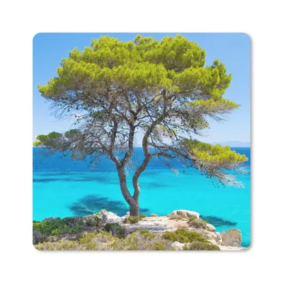 Produktbild von MuchoWow® Mauspad Mousepad Baum - Meer - Tropisch - Sommer 30x30 cm - Mousepads - Maus Mat - Pad - Mausunterlage - Gaming