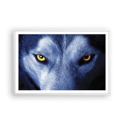 Produktbild von Gerahmtes Poster - Weißer Rahmen - Schau der Wolf Augen - 91,5x61 cm - Wand Bild - Wanddeko - Wandbilder - Kunstposter - Wandposter - Bilderrahmen - Bilder - Kunstdruck - P2WAA91x61-4587