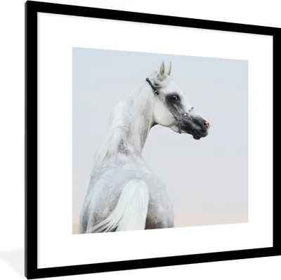 Produktbild von MuchoWow® Gerahmtes Poster Pferd - Sand - Pastell 40x40 cm - Poster mit Schwarzem Bilderrahmen Wandposter Rahmen Foto Bilder - Poster - Plakat im Rahmen