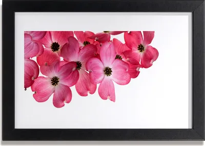 Produktbild von Bild 30x20 MDF-Rahmen Wandkunst Flowers On The Wall