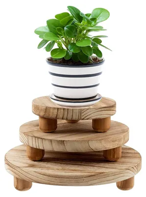 Image de Tabouret à fleurs en bois, lot de 3 supports ronds pour plantes en bois, support à fleurs, support pour pots de fleurs, support pour plantes pour la maison, le balcon, la maison, le jardin, à l'intérieur et à l'extérieur, résistant aux intempéries