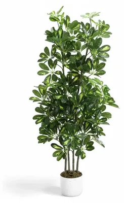 Obrázek produktu pro Umělá rostlina Kunstbaum, výška 120 cm – Velká umělá rostlina v květináči – Realistická pokojová rostlina – Dekorace stojící na podlaze – Vhodná do obývacího pokoje a kanceláře – Zelená