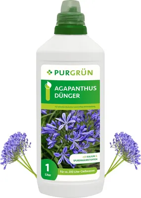 Produktbild von Purgrün Agapanthus Dünger | Flüssigdünger für Blütenpracht | 1L